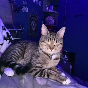 Meet your Posher, Heidi